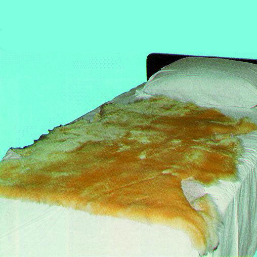 Sofsheep Sheepskin Pad, 3 ft. x 2-1/2 ft., Beige